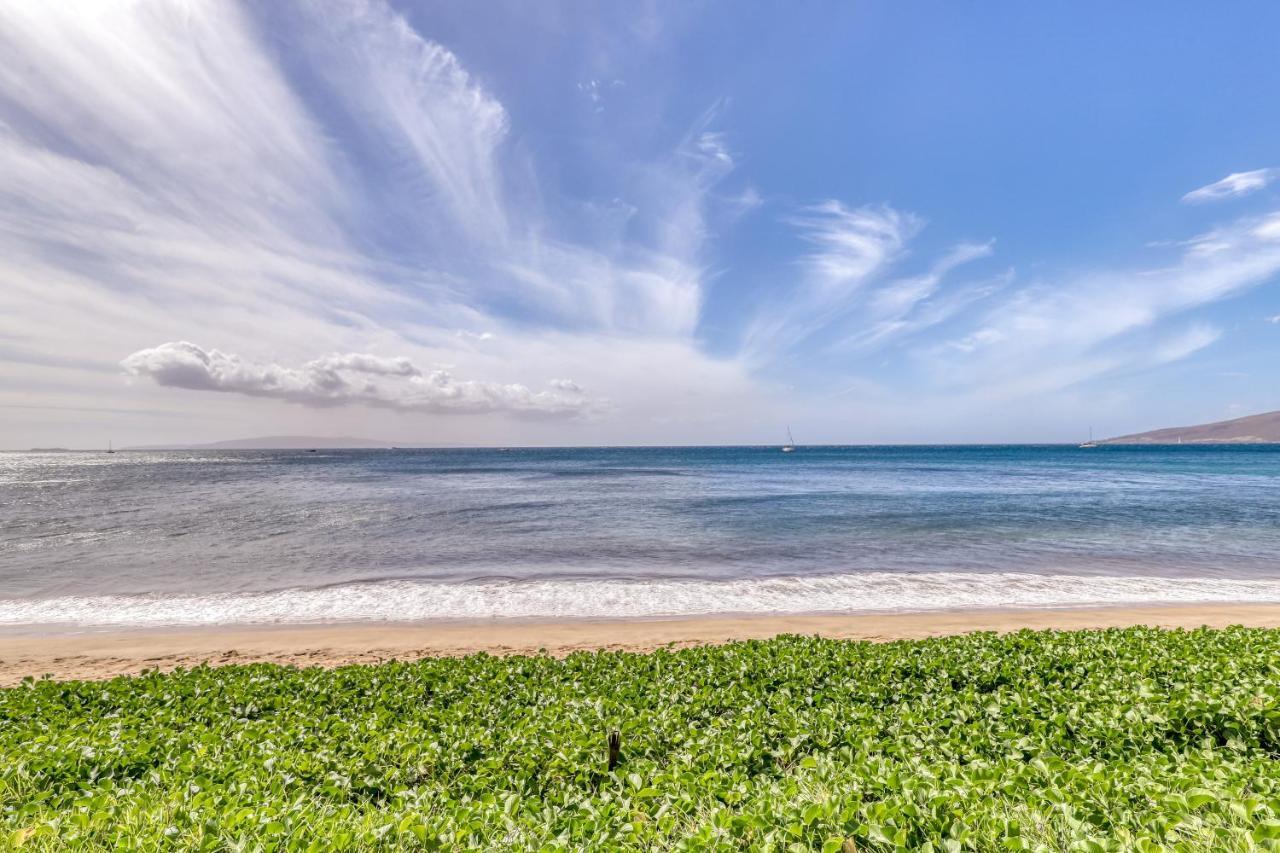 Sugar Beach Resort 224 Kihei Eksteriør bilde